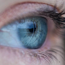 Szemerősítő vitaminok