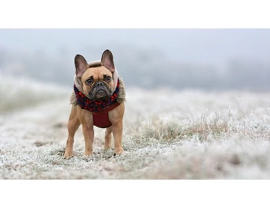 Nem fog örülni a hétvégi időnek