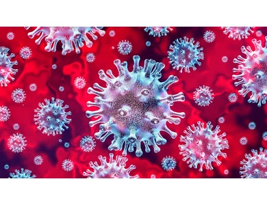 Tájékoztató a Koronavírusról