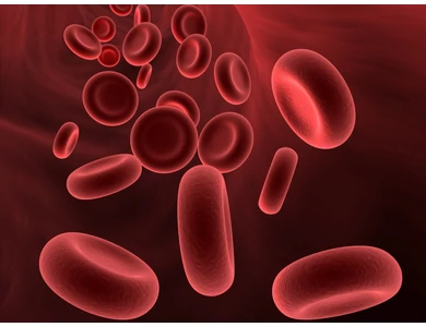 Egy véradás = három élet