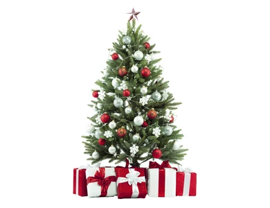 Karácsonyfa kisokos