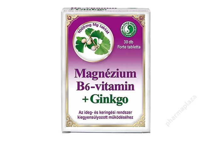 DR. Chen Magnézium B6 vitamin + Ginkgo tabletta 30X